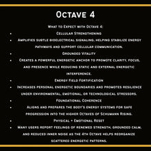 Load image into Gallery viewer, **NEW** OCTAVE — The Fourth Gate (High-End Series)