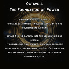 Load image into Gallery viewer, **NEW** OCTAVE -- The Fourth Gate (Silicone Series)