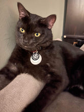 Load image into Gallery viewer, Pet Power Pendant   🐶💓🐱