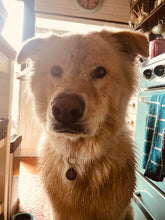 Load image into Gallery viewer, Pet Power Pendant   🐶💓🐱