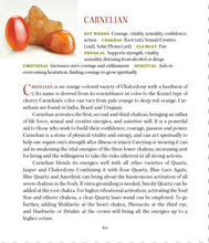 Load image into Gallery viewer, Fancy Mineral Stretch Bracelet — Carnelian
